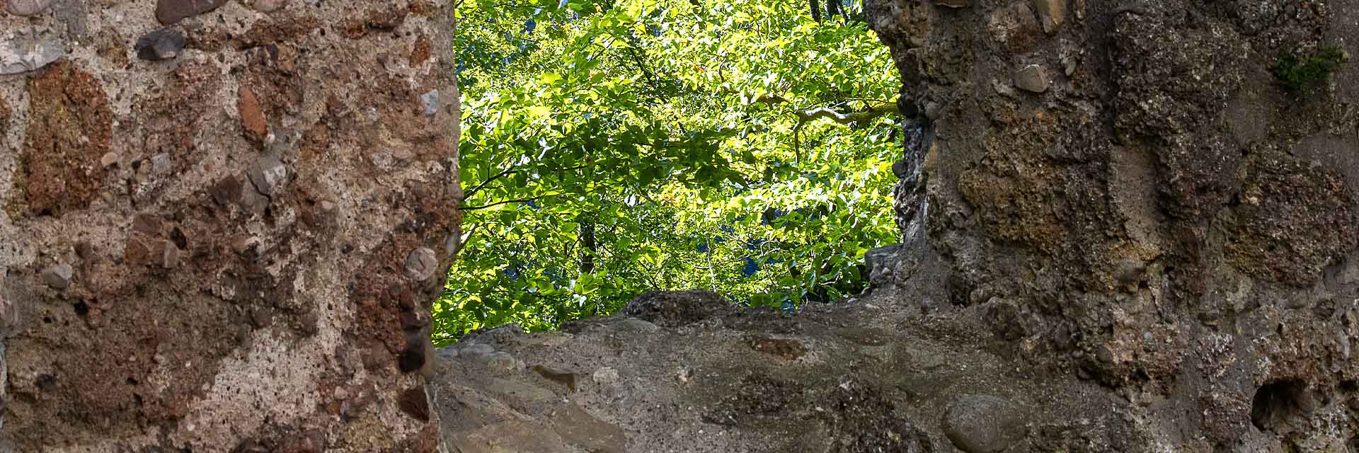 Burgruine
